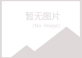 日照岚山宛海服务有限公司